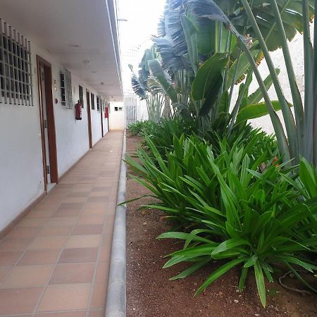El Apartamento De Concha San Agustín Exteriör bild